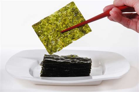 Boosting Immune Function with Matic Seaweed Moonatone
